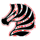 zebra icon